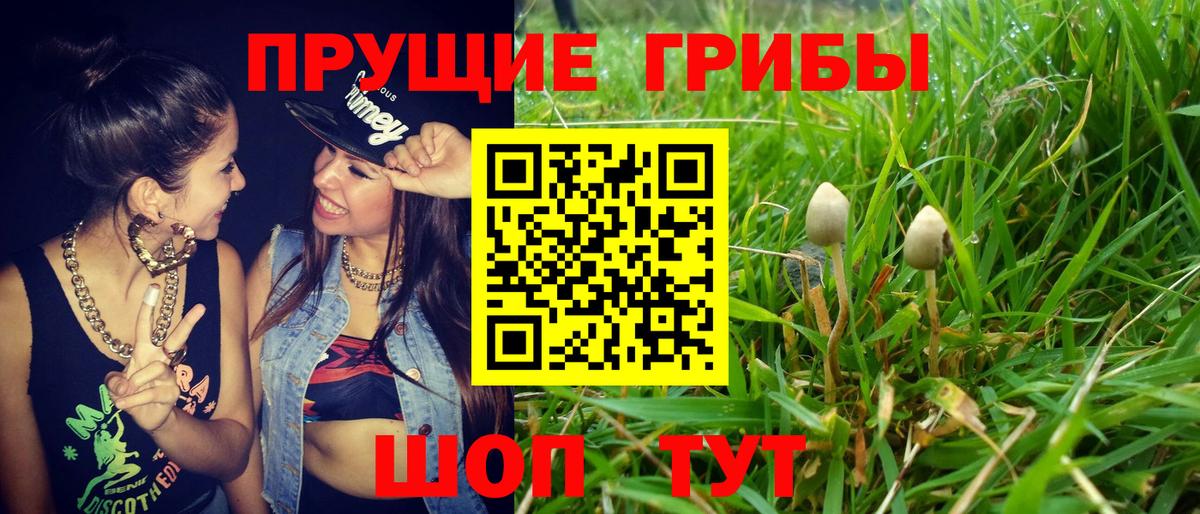 Белебей  Псилоцибиновые грибы MAGIC MUSHROOMS  Псилоцибиновые грибы Psilocybine cubensis  Вход с VPN 