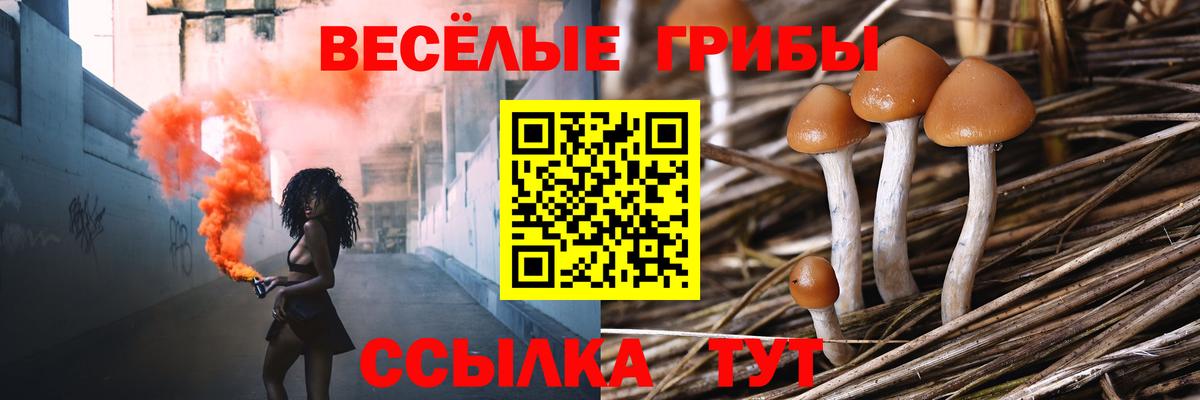 Псилоцибиновые грибы прущие грибы Белебей